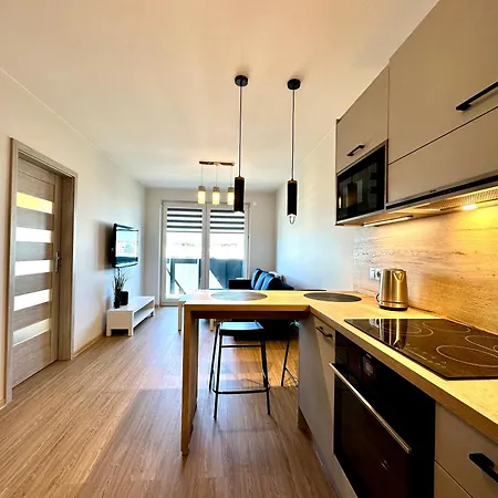 Apartment Poludniowy